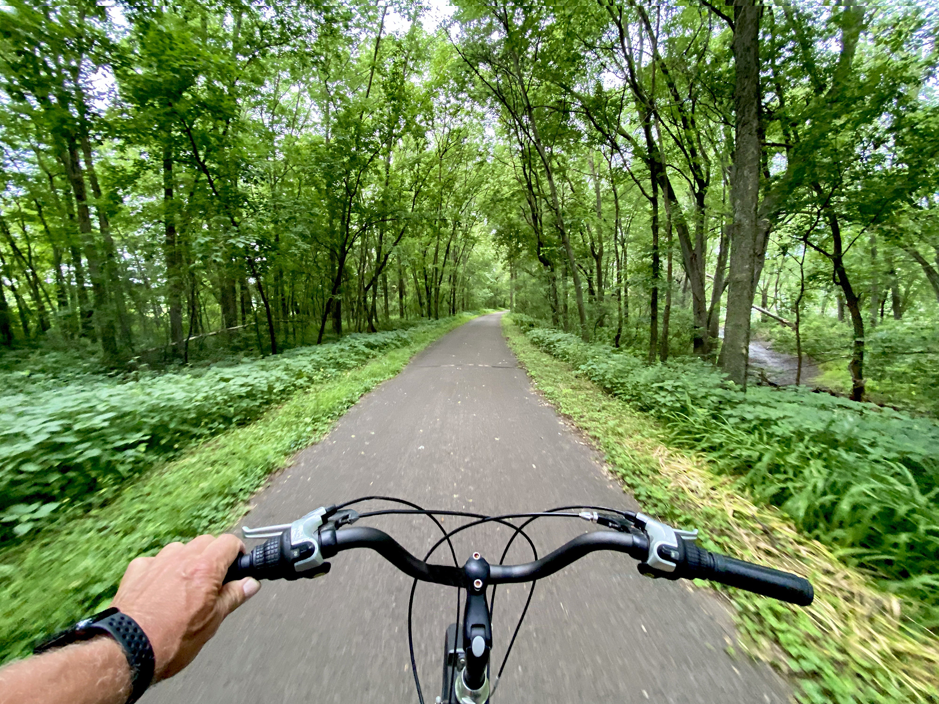 Person riding a bike through New Haven walking trail